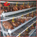 Egg layer chicken cages for 5000 birds poultry farm construction
